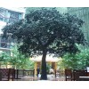 安徽噴泉施工<騰順雕塑>熱門推薦_噴泉設計公司