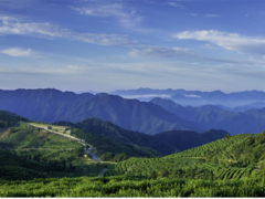聚光科技碳監(jiān)測助力實現(xiàn)“碳達(dá)峰”和“碳中和”目標(biāo)