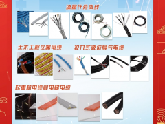 盛邦電線電纜(江蘇)有限公司  總經(jīng)理   張晉民  2024年新春寄語(yǔ)
