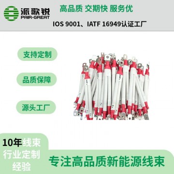 儲能動力線束 硅膠材質 EV線材質 支
