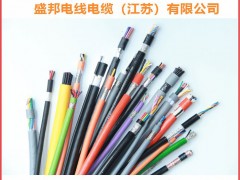 盛邦電線電纜成為《2025年儀表?yè)サ皳淇伺啤贩綁KK得主-系列報(bào)道18